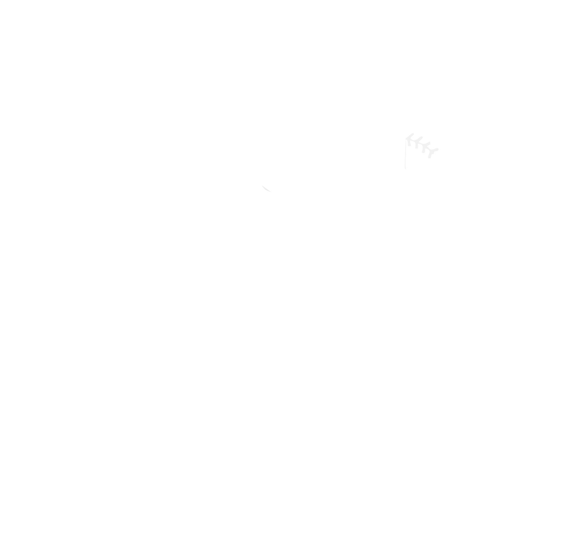 B10 BSB Logo Button